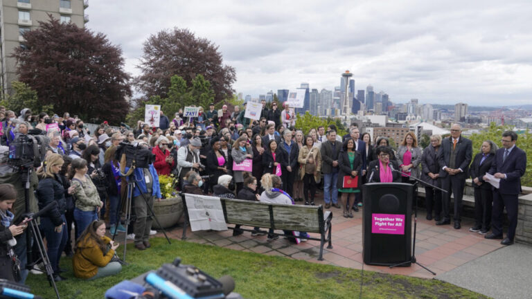 The skyline in Seattle is visible in the background as a crowd of people stands in a park gathered around a microphone.