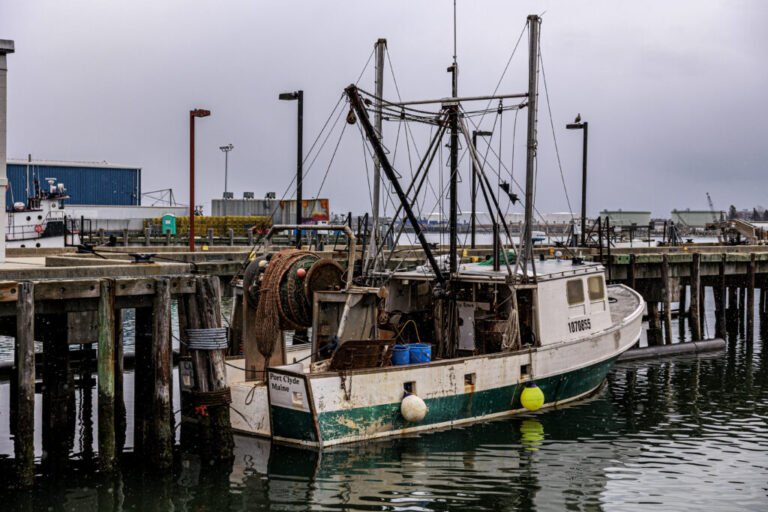 A fish boat is docked at the Portland Fish Exchange.