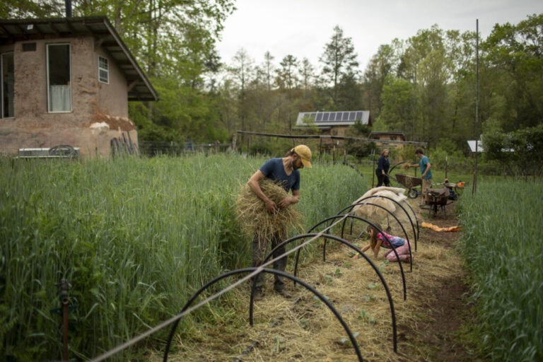 In this photo, residents of Earthaven Ecovillage plant spring crops in their community garden. For example, one man is holding an armful of hay, and a woman is pushing a wheelbarrow.