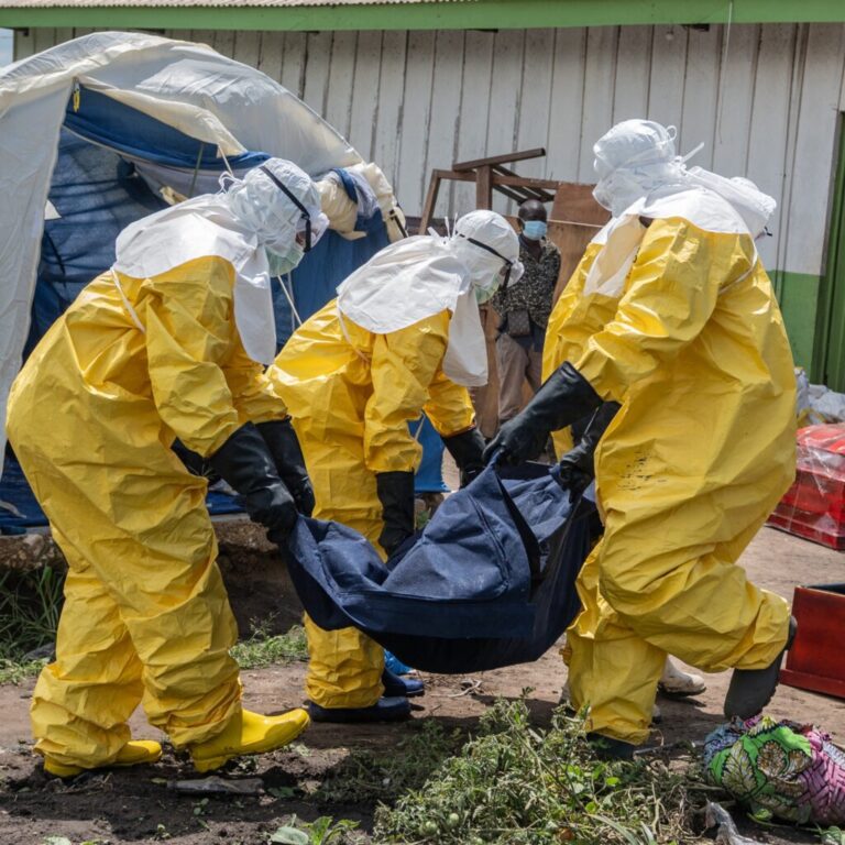 Ebola outbreaks past and present