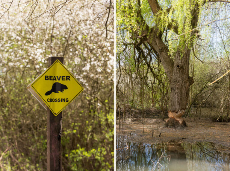 The photo on the left shows a yellow, diamond-shaped