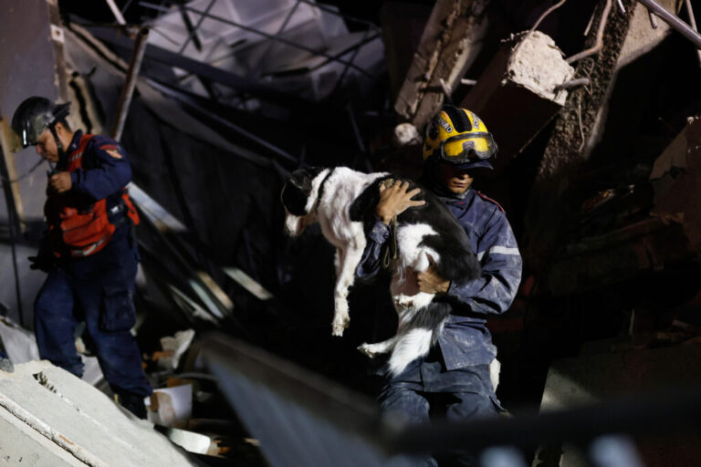 A firefighter rescues a dog from a building that collapsed after an earthquake.