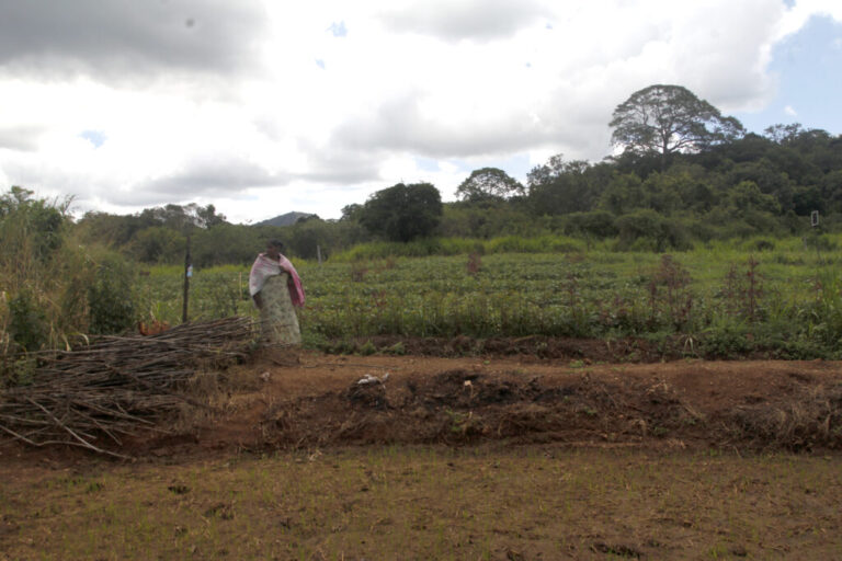 Fields in central Sri Lanka. Farmers say they are planting less crops because the price of fertilizer has risen because of the Mideast war, alongside the price of fuel they need to plough and harvest their lands.