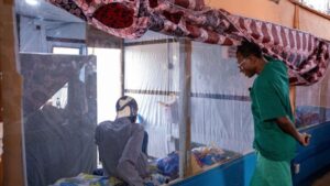 Ebola outbreak strains health system in eastern Congo