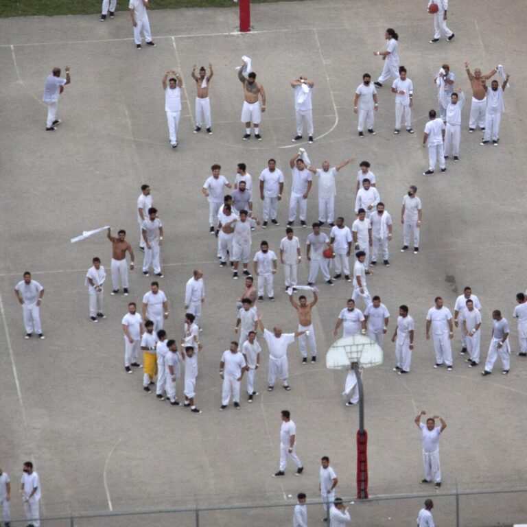 The Business of Migrant Detention