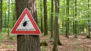 Ticks are a growing problem, no matter where you live