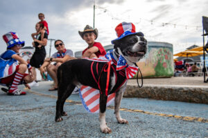 Tips for taking care of your pets when fireworks are booming