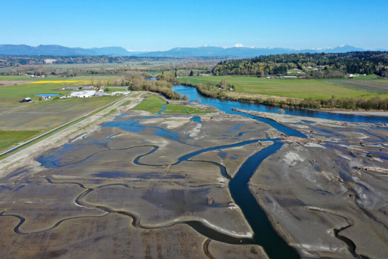 A new levee built by the Stillaguamish Tribe, left, separates farmland from newly restored wetlands at the mouth of the Stillaguamish River near Stanwood, Washington, on April 8, 2026.