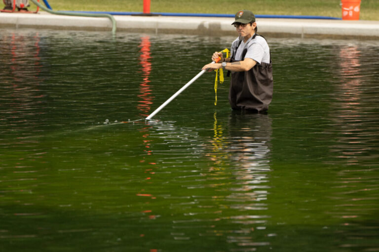 A National Park Service employee uses a vacuum to clean the Lincoln Memorial Reflecting Pool, Friday, June 19, 2026, in Washington.