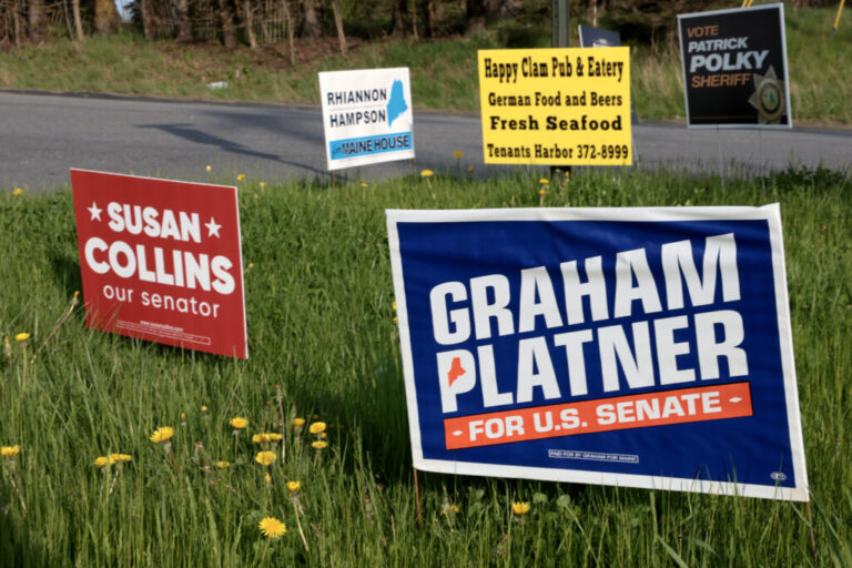 Campaign signs are staked in a grassy area with yellow flowers next to a road in Rockport, Maine.