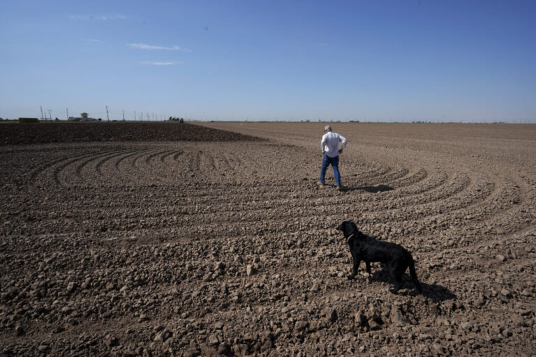 Farmer Larry Cox walks in a plowed field with his dog, Brodie, in 2022, near Brawley, Calif.