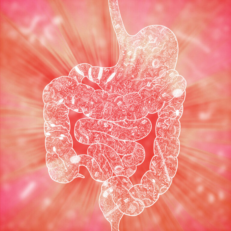 An illustration of the human microbiome. The bacteria in our gut may influence our mental health, research finds.