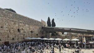 Migrating swifts swirl in the skies of Jerusalem