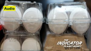 Cracking down on egg prices