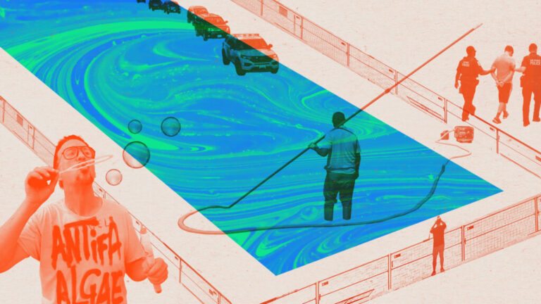 An illustration superimposing images of a protester, a detainee, a pool vacuum and the presidential motorcade in the vicinity of the reflecting pool.