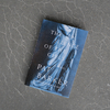 Homer's 'Unwilling' Women Are No Longer Quiet In 'The Silence Of The Girls'