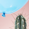 A close-up, studio photograph of a cactus against a pink backdrop. The long spikes from the cactus threaten to burst a baby blue balloon that floats down toward the cactus from above.