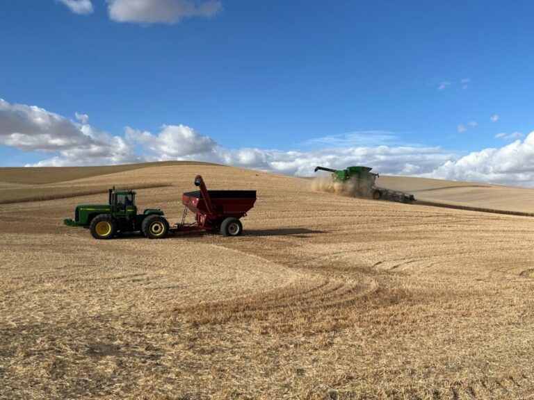American farmers were already grappling with high fertilizer and diesel prices before the closure of the Strait of Hormuz created a further spike.