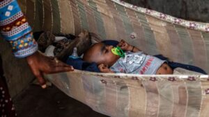 Pakistani researchers find link between the microbiome and premature birth