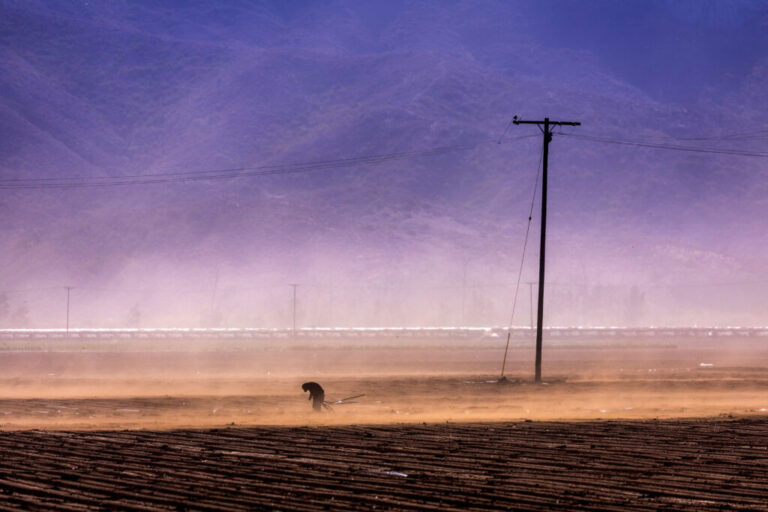 A farmworker laboring through high winds near a brush fire in Camarillo, CA on Jan.23, 2005.