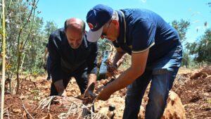 Heavy environmental toll of war in southern Lebanon