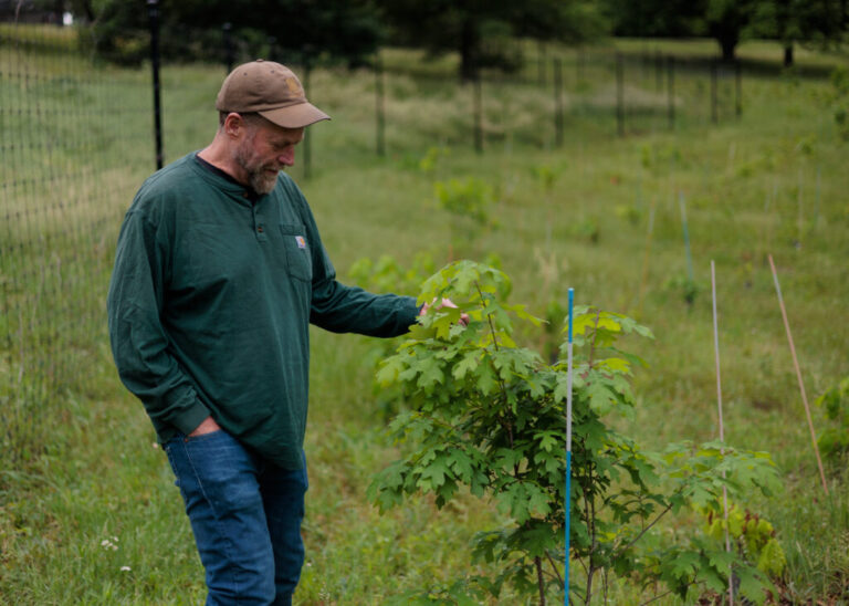 Thursday, May 21, 2026 — Former Forest Service researcher, Morgan Grove, examines Oak tree leaves at the Native Oak Tree Regeneration: Oak Orchard Site at Cylburn Arboretum in Baltimore, MD.