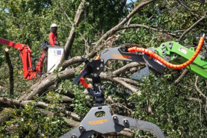 Thousands in northwest Indiana still without power nearly two weeks after storm