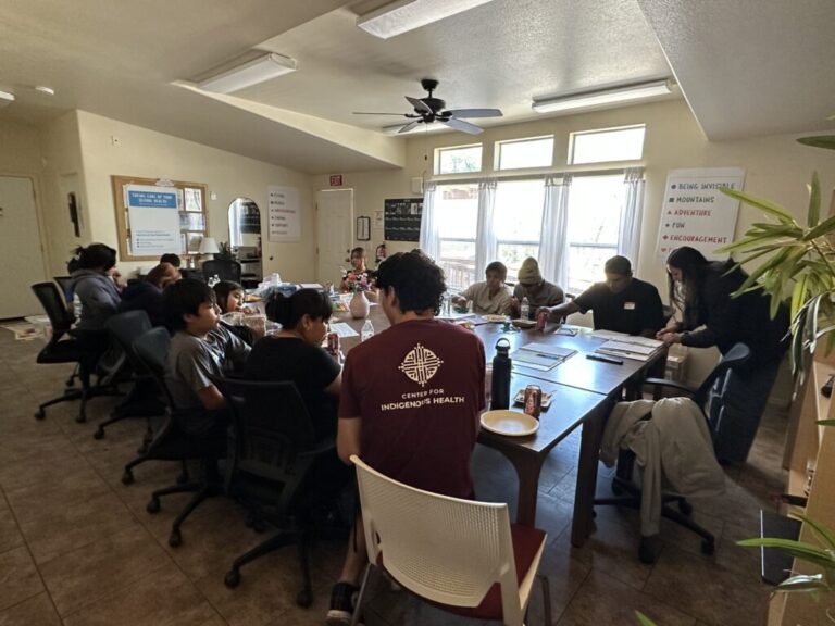 A LiFT workshop in the Navaho Nation in Arizona. About a dozen people are shown around a conference table in a light-filled room with big windows.