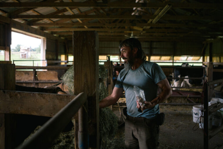 Brian Smyser, 50, extends his arm as he feeds a treat to a bull inside one of his barns at his farm in York, Pennsylvania, on August 12.