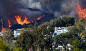 California passes toughest wildfire rules in the U.S. for home landscaping