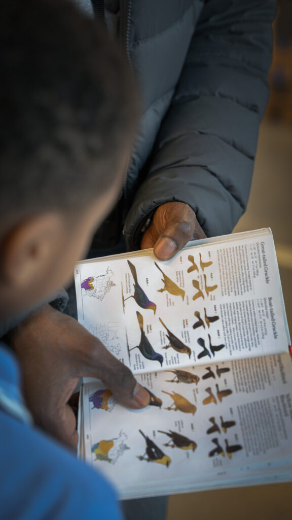 Russel points to the redwing blackbird in his birding reference book.