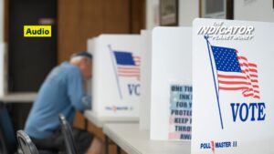 Did you know companies can vote in Delaware?