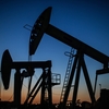 Hold That Drill: Why Wall Street Wants Energy Companies To Pump Less Oil, Not More
