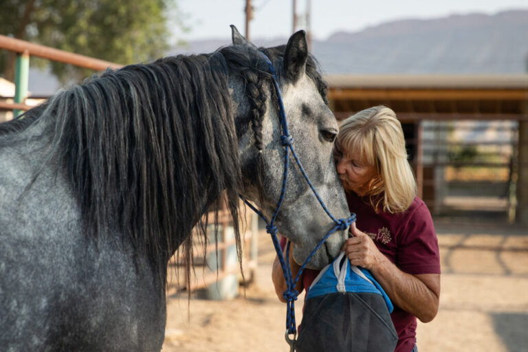Cindy Day kisses Moses, a wild mustang she adopted, on the muzzle. Moses is gray with a black mane, one lock of which is braided.