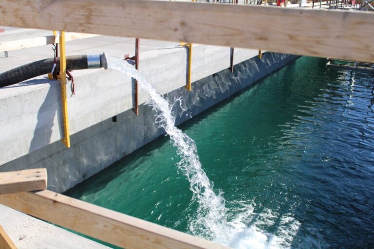 Water is pumped into a storage pool at Phoenix's Sewage Recycling Facility on March 27, 2026.