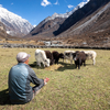 Living in the shadow of a dangerous shrinking glacier