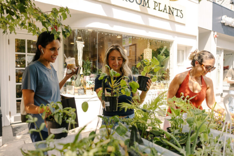 Pallavi Doddakashi (left), a Glen Rock resident, browses plants with the help of Sunroom Plants manager Carla Sabbagh (center) and Katherine Arsho Baharyan, owner of Sourdough by Kat, on August 7, 2026, in Ridgewood, New Jersey.