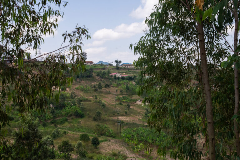 The many hills in Rwanda and poor infrastructure make access to rural areas difficult. But Zipline says their drones can fly to any part of the country in under an hour.
