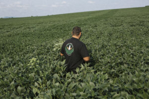 The Iran war and tariffs are costing farmers. Will Republicans pay in November?