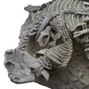 This fossil of a mammal biting a dinosaur captures a death battle's final moments
