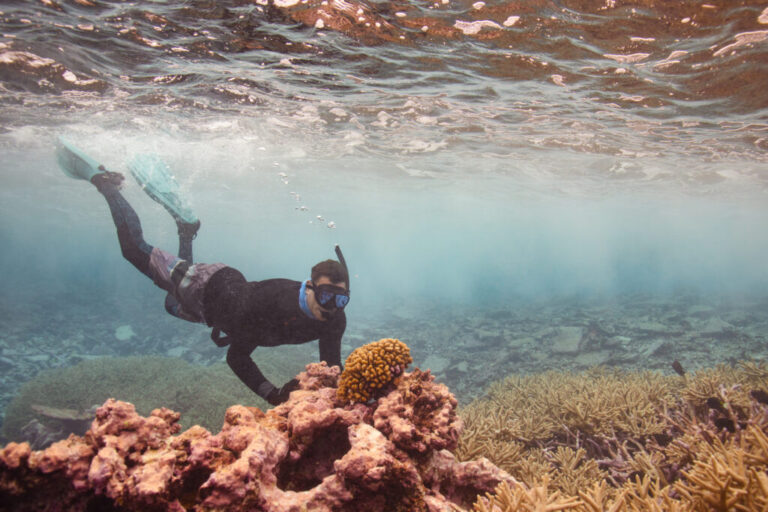 At one of the most pristine reefs in the world, located in the remote Pacific Ocean, scientists are learning how to help reefs recover from damaged caused by heat.