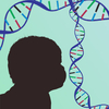 Brain cells, interrupted: How some genes may cause autism, epilepsy and schizophrenia