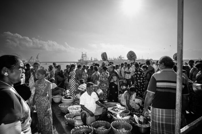 Vendors set up their baskets of the morning's catch on the docks, catering to customers that weave through the make-shift market.