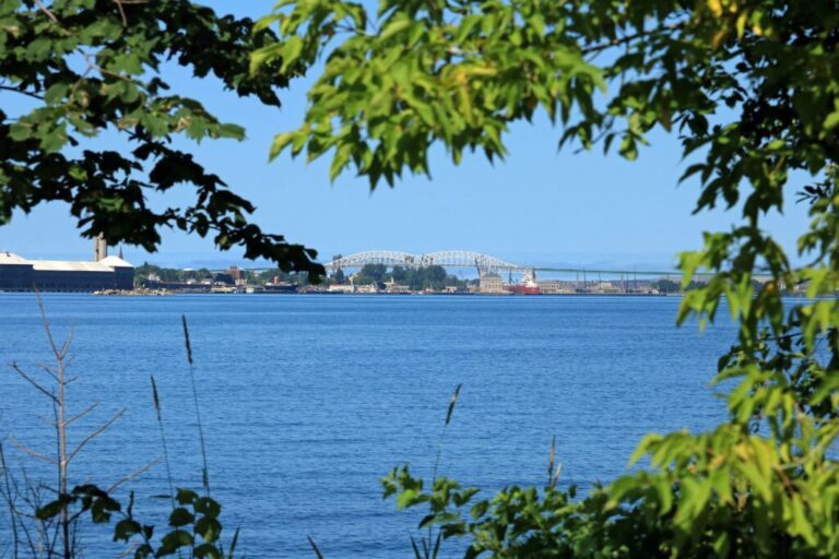 Trees frame the foreground against a large body of water and a bridge in the distance.