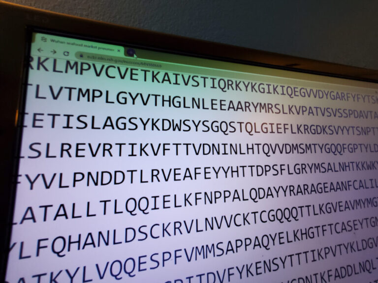 Close-up of letters displaying a portion of the genetic sequence of the novel Coronavirus which infected people beginning in Wuhan, China in 2020, on a computer screen, San Ramon, California, January 29, 2020. The release of the genetic sequence of the virus is a key step towards developing vaccines and other treatments.