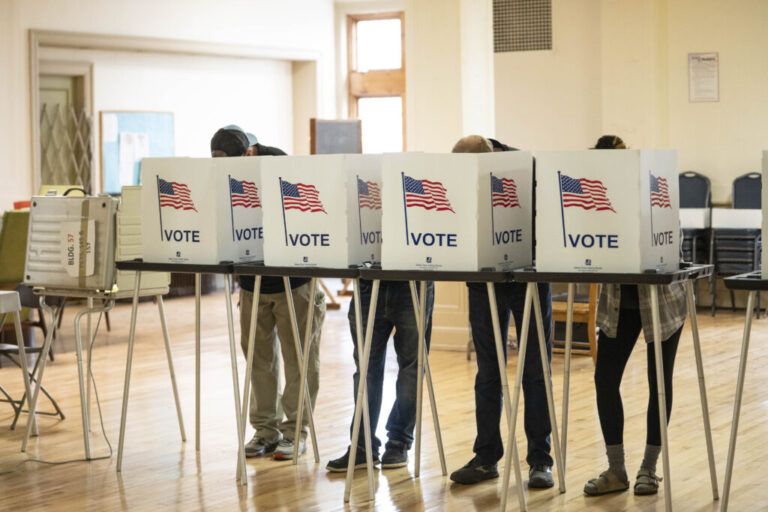 Voters in Detroit stand in voting booths that say