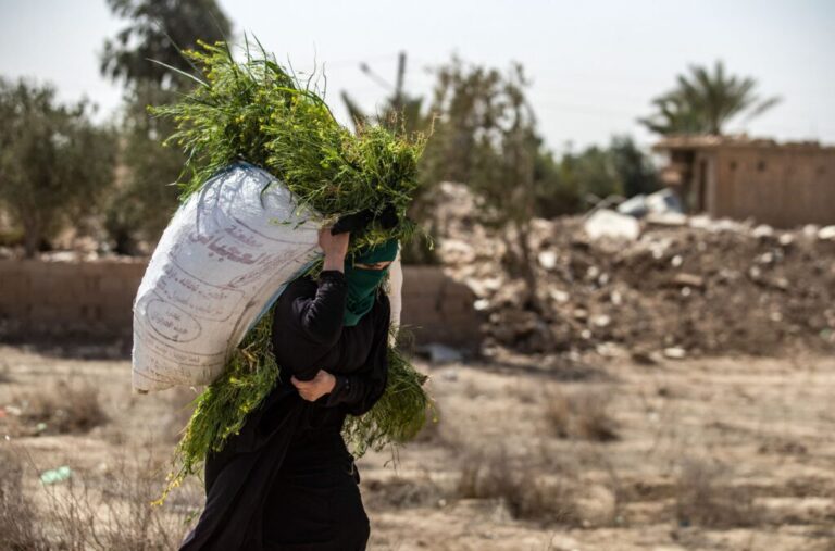 A woman carries freshly harvested grass for cattle as she walks in front of houses damaged by heavy fighting in the village of Baghouz in Syria's northern Deir Ezzor province, on March 24, 2021, where two years ago, the Islamic State Group (IS) made their last stand before being defeated.