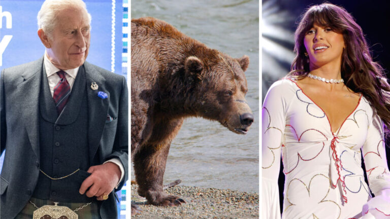 From left: a king, a king of bears, a queen of country