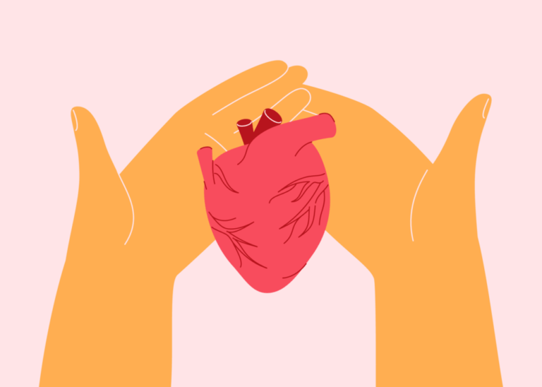 In this illustration, two orange hands embrace a red heart for donation.