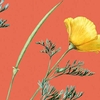 Yiyun Li Continues Her Conversations With The Dead In 'Must I Go'